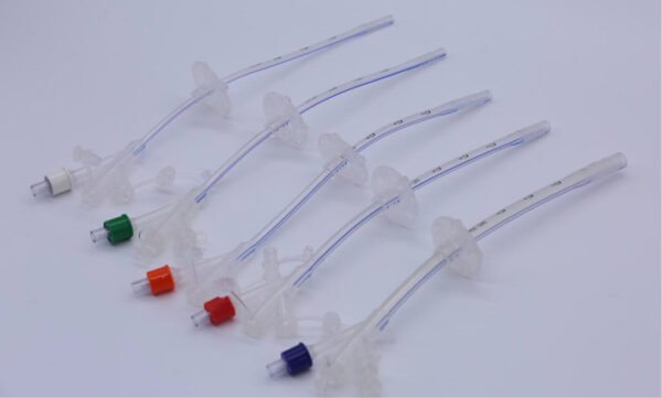Gastrostomy Tube